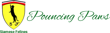 Pouncing Paws – Siamese, Oriental, Balinese, Javanese and Thai Cat Breeder Logo